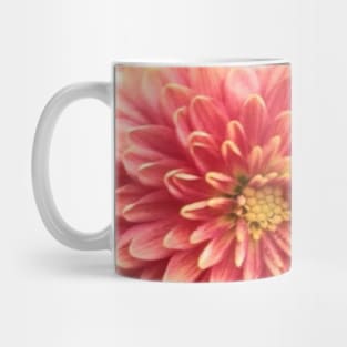 All Shades of orange fall chrysanthemums Mug